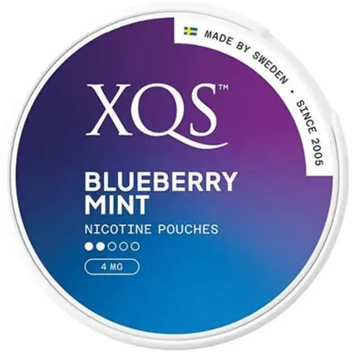 XQS Blueberry Mint